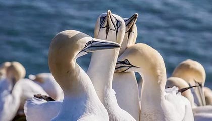 三端互通传奇盒子：打破设备壁垒的技术革命