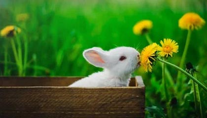 今日新开传奇手游sf发布网的核心特点